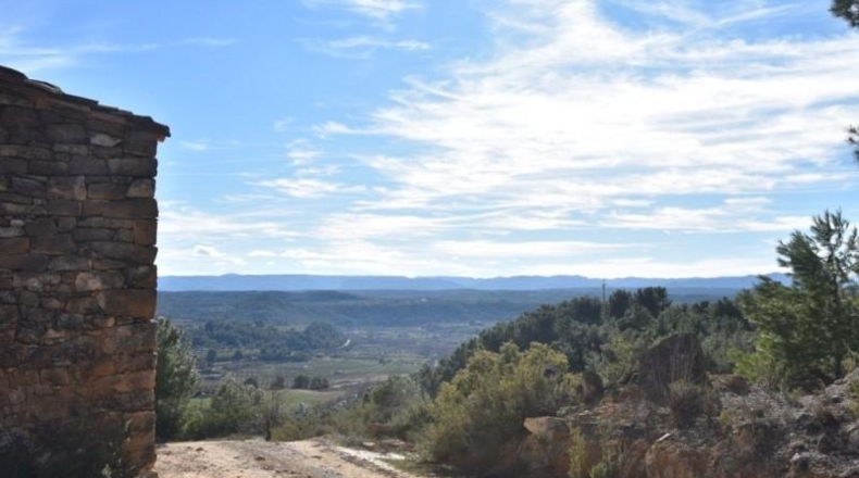 Teruel - Mazaleón - 33700m2