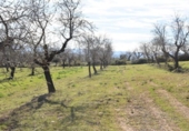 Chalet independiente con terreno en venta en la España, Mazaleón, ref: TR300822 foto