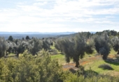 Chalet independiente con terreno en venta en la España, Mazaleón, ref: TR300822 foto