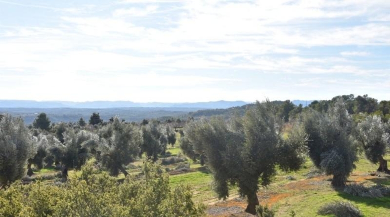 Teruel - Mazaleón - 33700m2