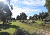 Chalet independiente con terreno en venta en la España, Mazaleón, ref: TR300822 foto