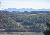 Chalet independiente con terreno en venta en la España, Mazaleón, ref: TR300822 foto