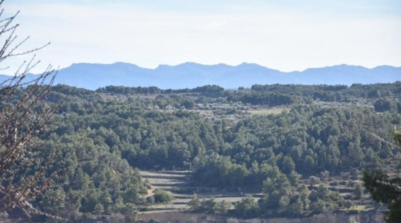 Teruel - Mazaleón - 33700m2