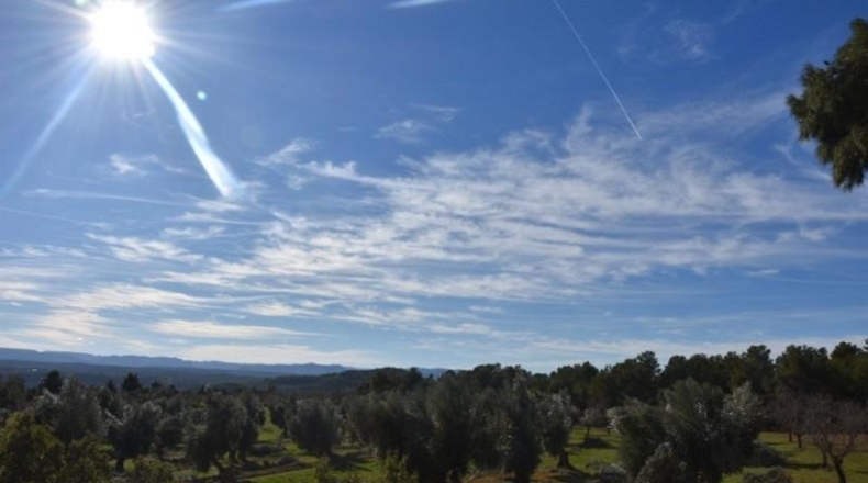 Teruel - Mazaleón - 33700m2