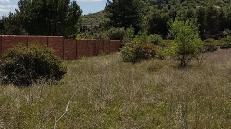 Palència - Palencia - 10324m2