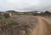 Non-developable land for sale on España, Moya, ref: TR223969 photo