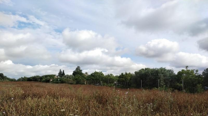 Cádiz - Chiclana de la Frontera - 5000m2