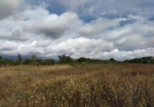 Земля на продажу у города Chiclana de la Frontera Фото