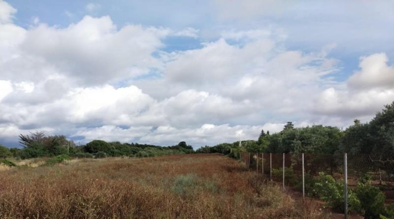 Cádiz - Chiclana de la Frontera - 5000m2