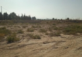 Terreny no urbanitzable en venda a la España, Alhama de Murcia, ref.: TR276664 foto