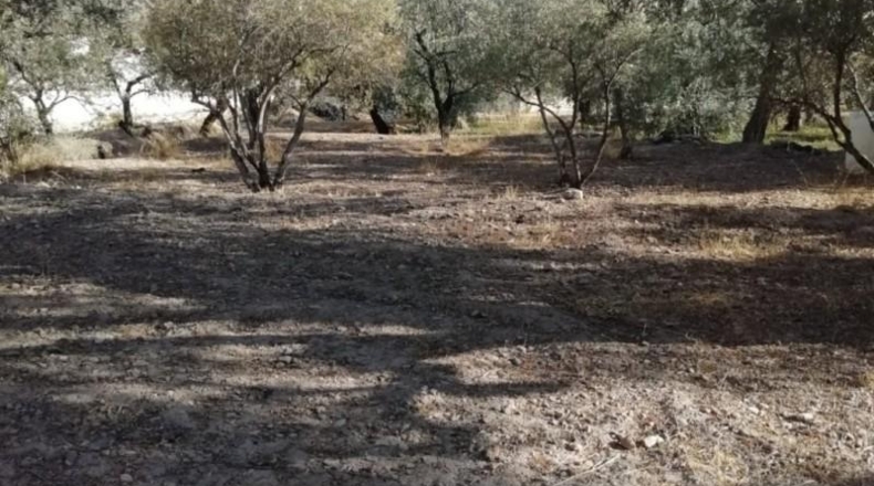 Almeria - Berja - 3000m2
