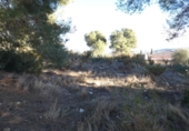Parcel·la urbanitzable en venda a la España, la Bisbal del Penedès, ref.: TR120343 foto