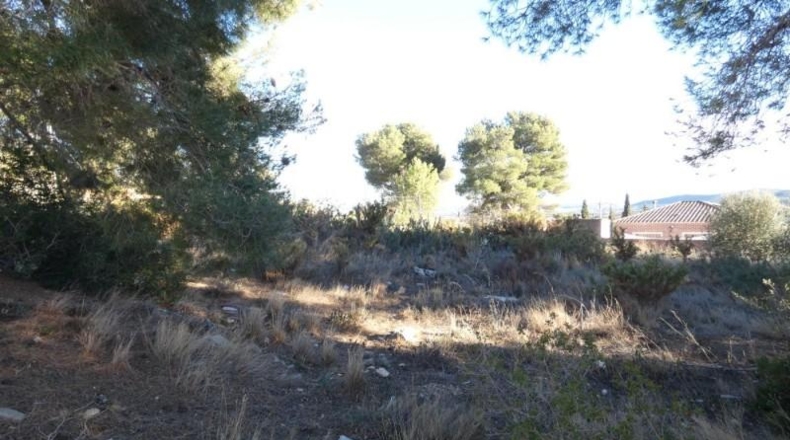 Tarragona - la Bisbal del Penedès - 529m2