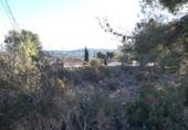 Parcel·la urbanitzable en venda a la España, la Bisbal del Penedès, ref.: TR120343 foto