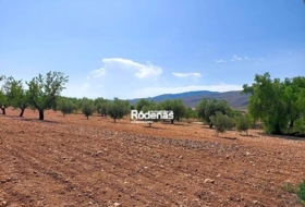 Montealegre del Castillo 35534&nbsp;м²