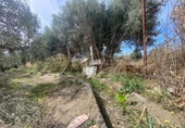Country house with land for sale on España, Tíjola, ref: TR295362 photo