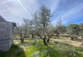 Country house with land for sale on España, Tíjola, ref: TR295362 photo