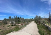 Country house with land for sale on España, Tíjola, ref: TR295362 photo