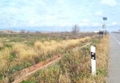 Non-developable land for sale on España, Zuera, ref: TR320857 photo