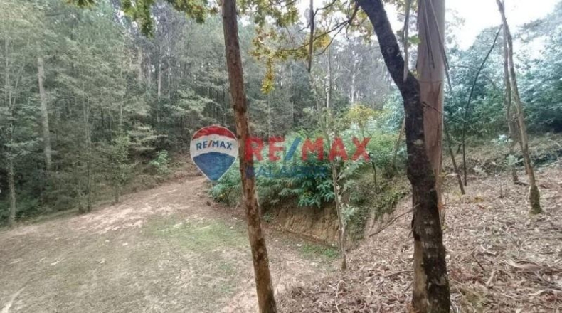 Pontevedra - O Porrinyo - 926m2