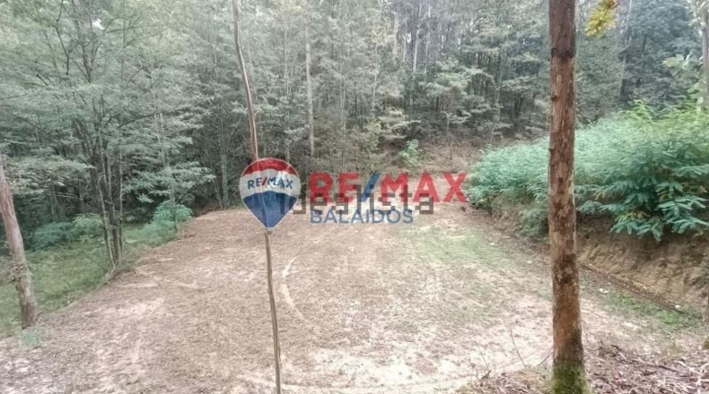 Pontevedra - O Porrinyo - 926m2