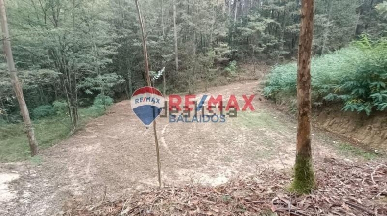 Pontevedra - O Porrinyo - 926m2
