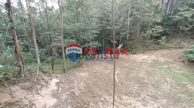 Pontevedra - O Porrinyo - 926m2