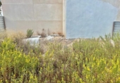 Sòl urbà en venda a la España, Asp, ref.: TR150050 foto