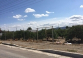 Terreny no urbanitzable en venda a la España, Múrcia, ref.: TR119625 foto