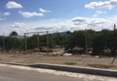 Terreny no urbanitzable en venda a la España, Múrcia, ref.: TR119625 foto