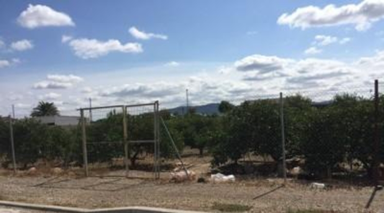 Múrcia - Murcia - 1300m2
