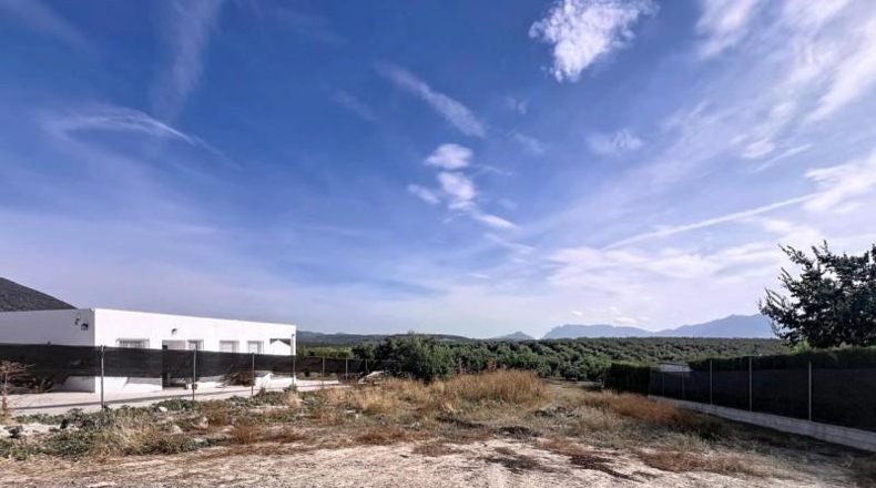 Córdoba - Lucena - 1000m2