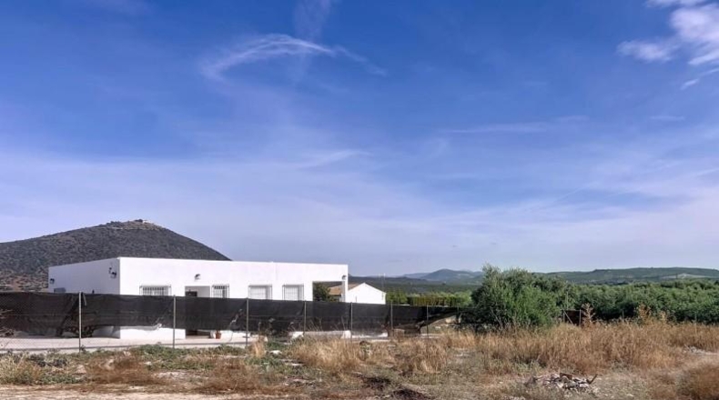 Córdoba - Lucena - 1000m2