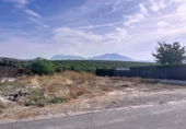 Terreny no urbanitzable en venda a la España, Lucena, ref.: TR350537 foto