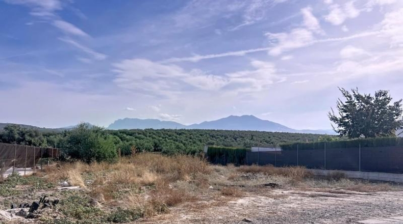 Córdoba - Lucena - 1000m2