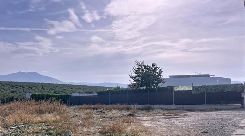 Córdoba - Lucena - 1000m2