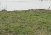 Parcela urbanizable en venta en la España, León, ref: TR283712 foto