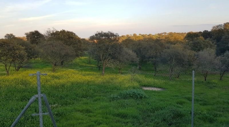 Badajoz - Badajoz - 7270m2