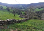 Finca rústica en venda a la España, San Pedro del Romeral, ref.: TR291593 foto