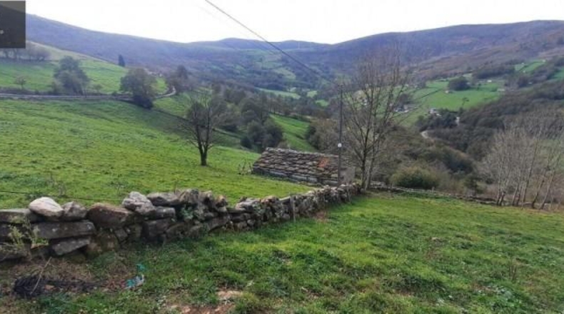 Cantabria - San Pedro del Romeral - 11559m2