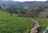 Finca rústica en venda a la España, San Pedro del Romeral, ref.: TR291593 foto