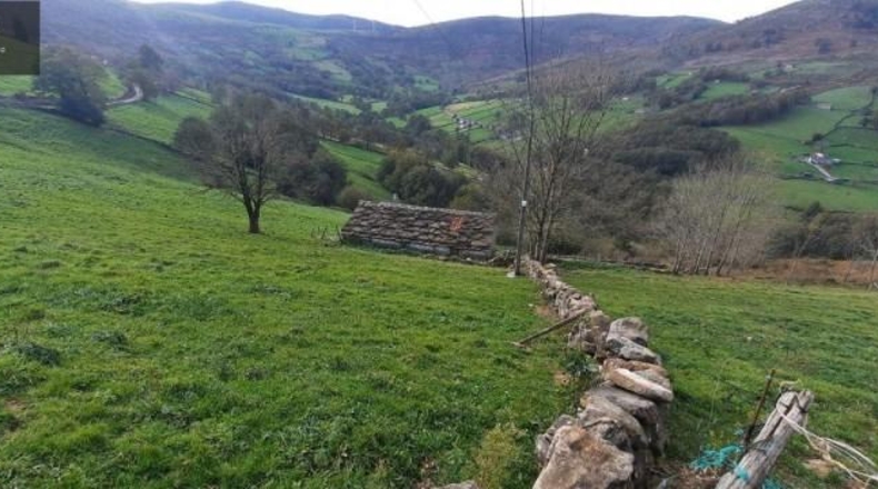 Cantabria - San Pedro del Romeral - 11559m2