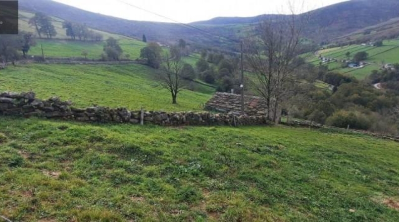Cantabria - San Pedro del Romeral - 11559m2