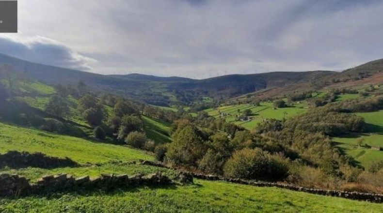 Cantabria - San Pedro del Romeral - 11559m2