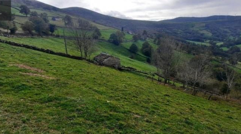 Cantabria - San Pedro del Romeral - 11559m2