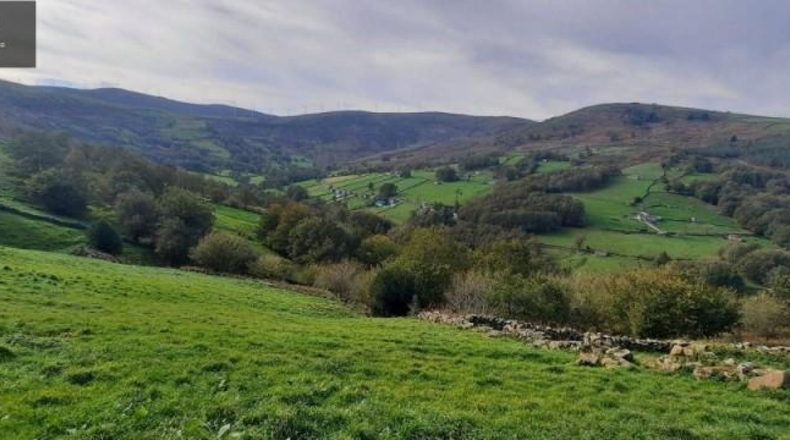 Cantabria - San Pedro del Romeral - 11559m2