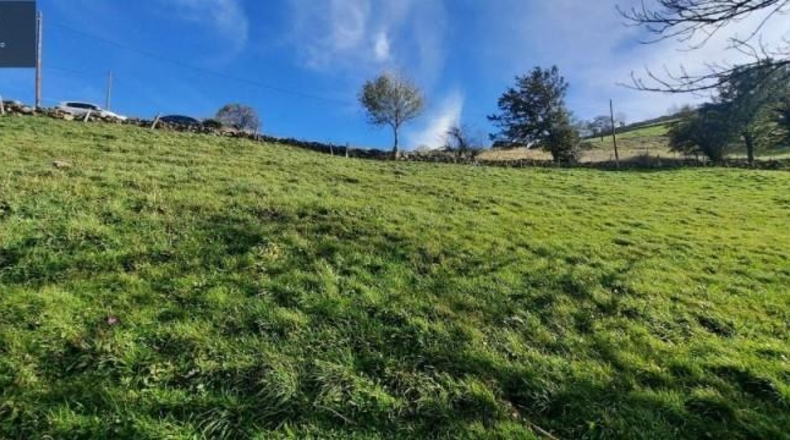 Cantabria - San Pedro del Romeral - 11559m2
