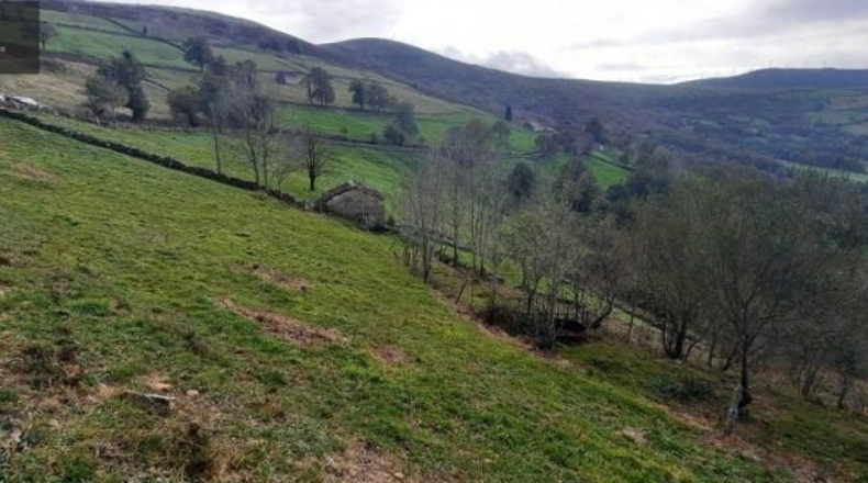 Cantabria - San Pedro del Romeral - 11559m2