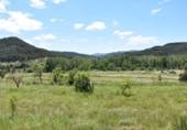 Xalet independent amb terreny en venda a la España, Vall-de-roures, ref.: TR293932 foto