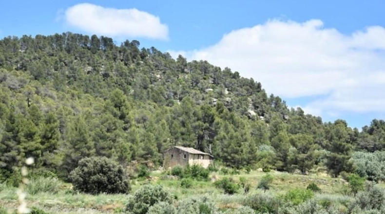 Teruel - Vall-de-roures - 27200m2